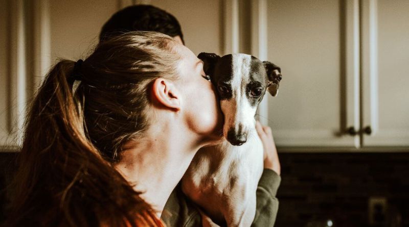 Is Pet Insurance Worth It? A Clear-Eyed Look at the Costs and Trade-Offs