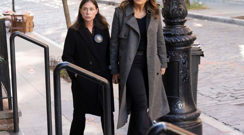 Law and Order SVU Cast: Who's Playing Benson, Fin, and the Rest of the Squad in 2026