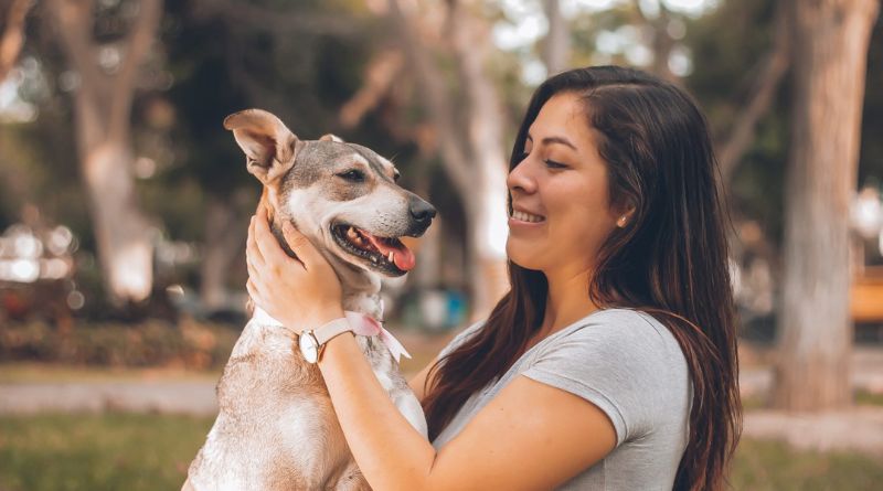 Nationwide Pet Insurance: A Complete Guide to Coverage, Cost, and Whether It's Right for Your Pet